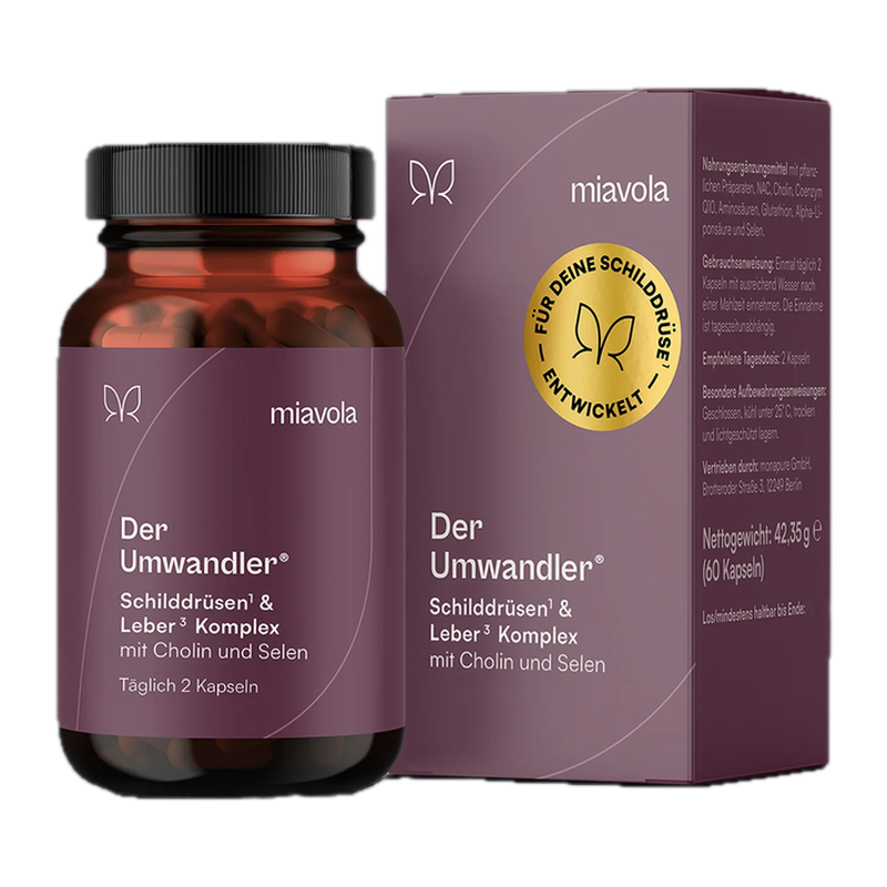 Der Umwandler